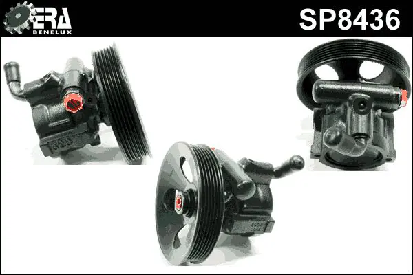 SP8436 