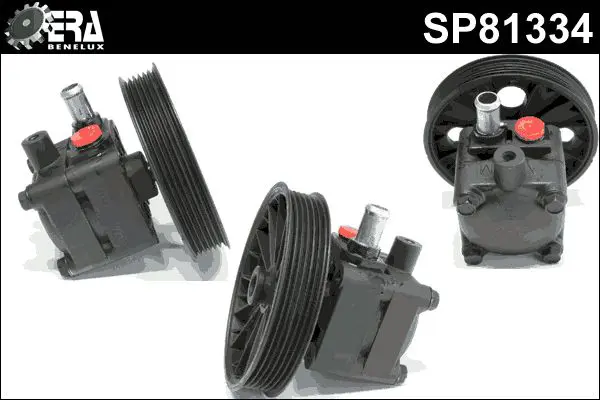 SP81334 