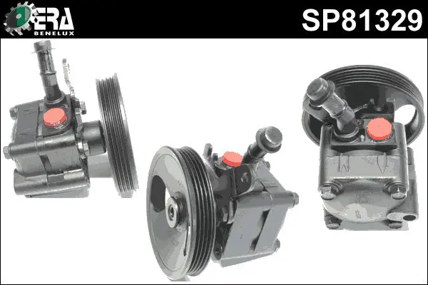 SP81329 