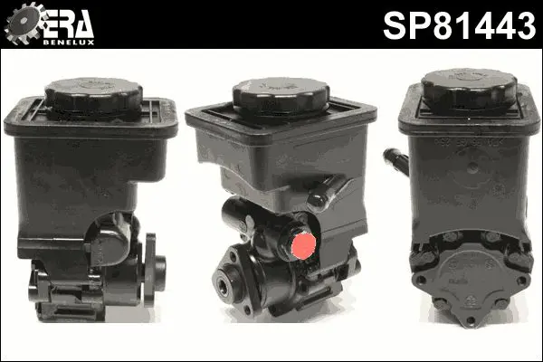 SP81443 