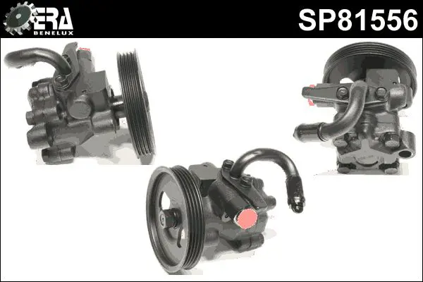 SP81556 