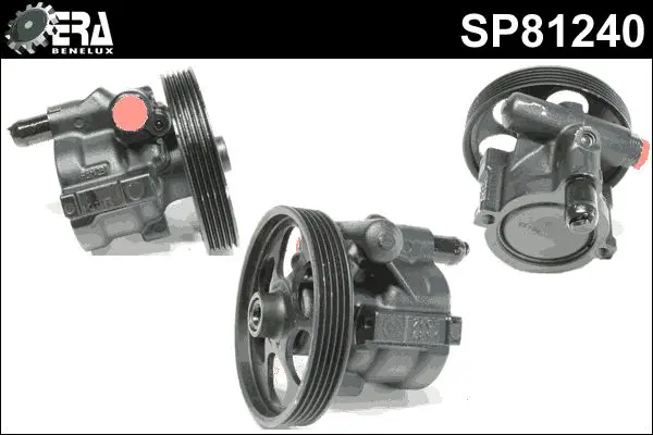 SP81240 