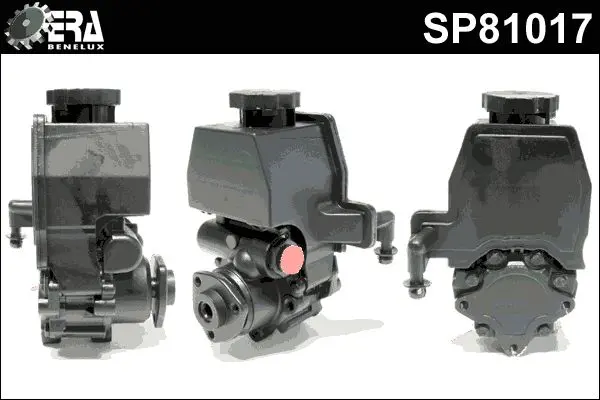 SP81017 