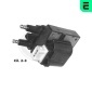 880019 Катушка зажигания RENAULT