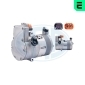 ERA 670176