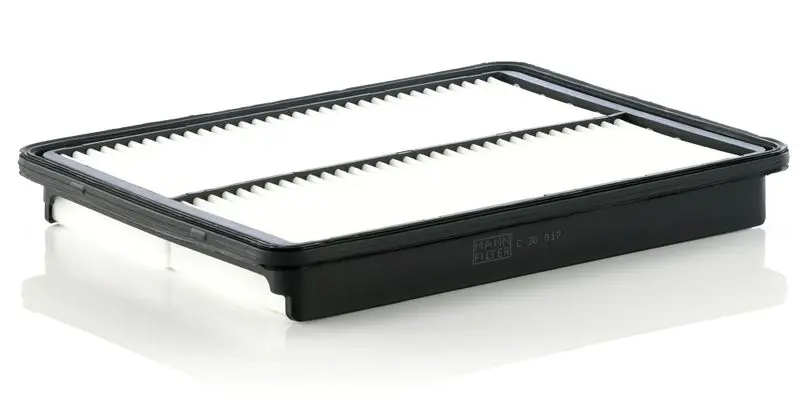 C 30 017 Фильтр