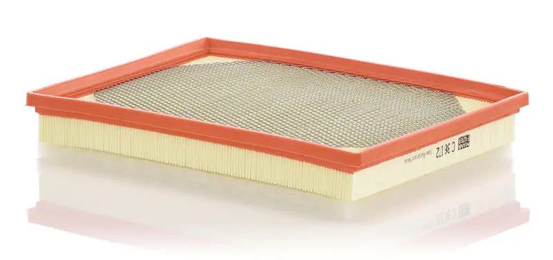MANN C36172 C36172 MANN-FILTER, ФИЛЬТР