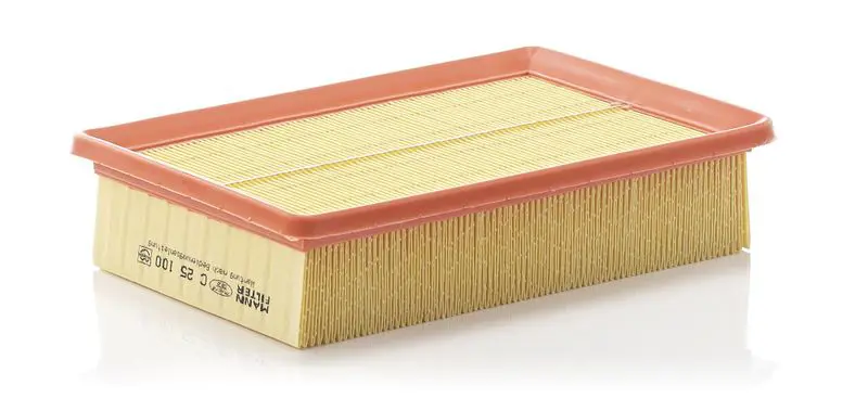 MANN C25100 Фильтр воздушный