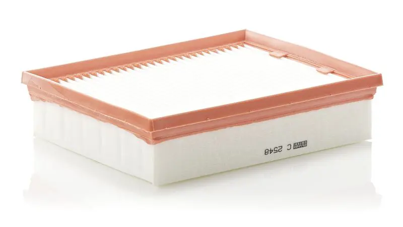 MANN C2548 Фильтр