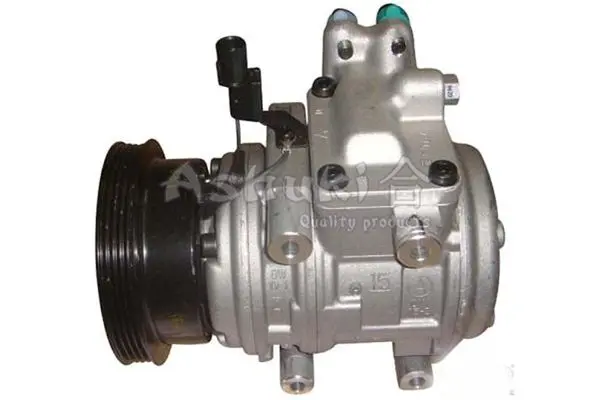 Y55519 