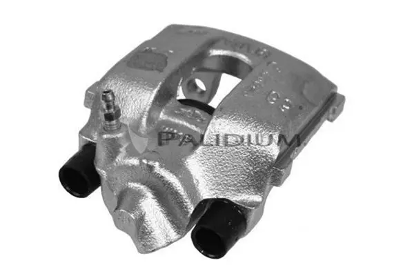 PAL41460 