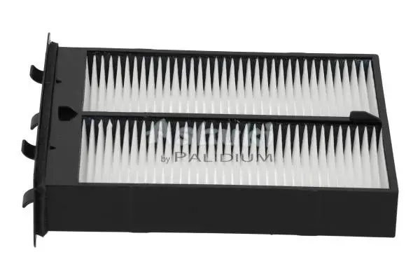 K00535 