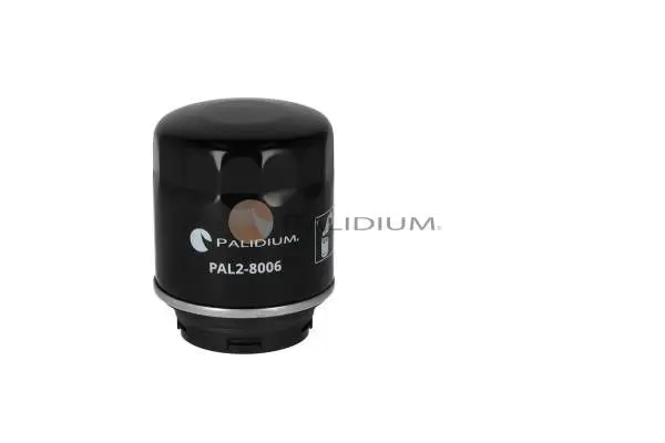 PAL28006 