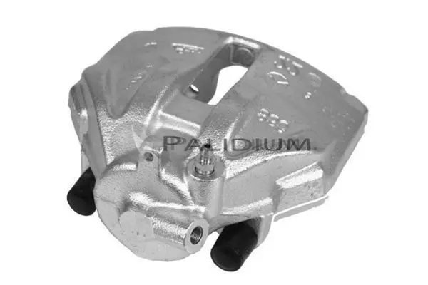 PAL41493 