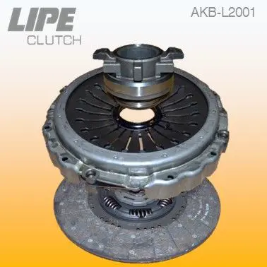AKBL2001 