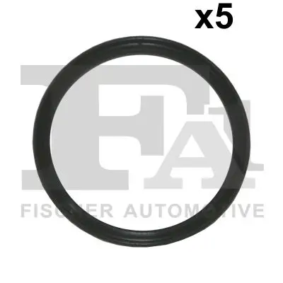 FA1 076359005 Уплотнительное кольцо