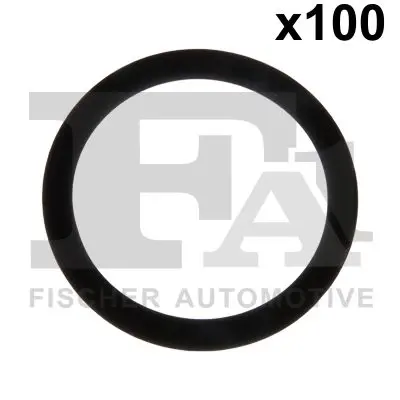 076.575.100 Уплотнительное кольцо