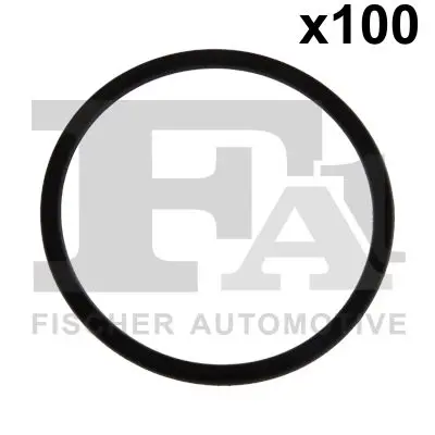 076.583.100 Уплотнительное кольцо
