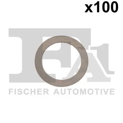 FA1 232150100 Шайба