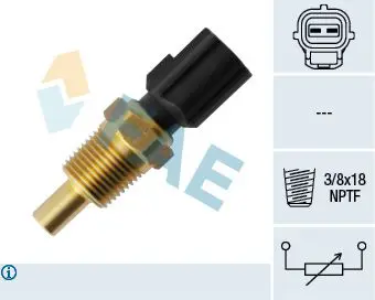 33755 Датчик температ TX81, FAE
