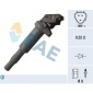 FAE 80281