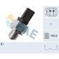 FAE 40565