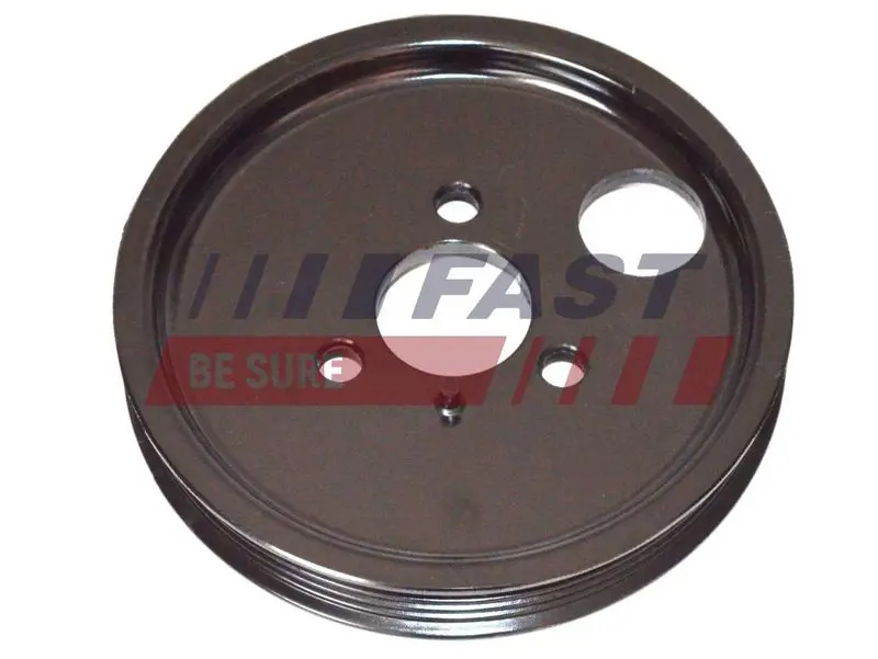 FT45597 ШКИВ НАСОСА ГУР FIAT DUCATO