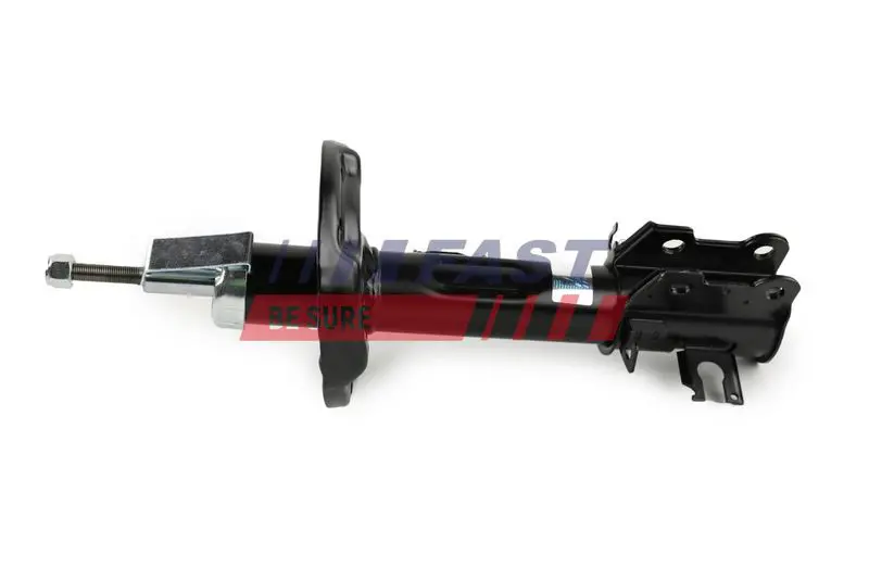 FT11072 АМОРТИЗАТОР FIAT PUNTO EVO 09>