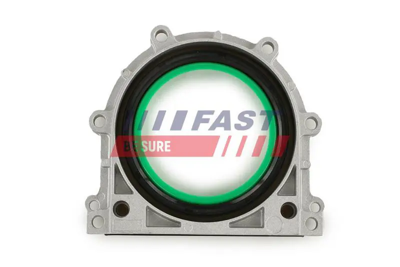 FAST FT49816 Уплотняющее кольцо, коленчатый