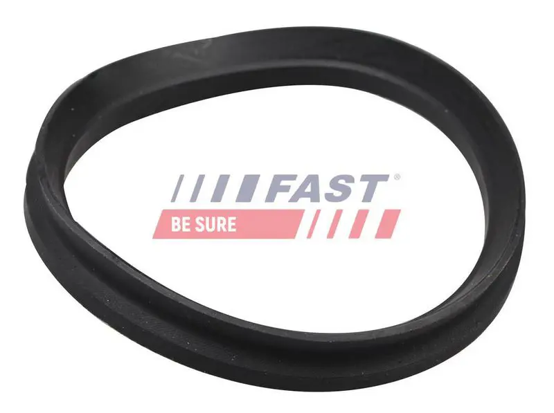 FAST FT12192 Кольцо изоляционное