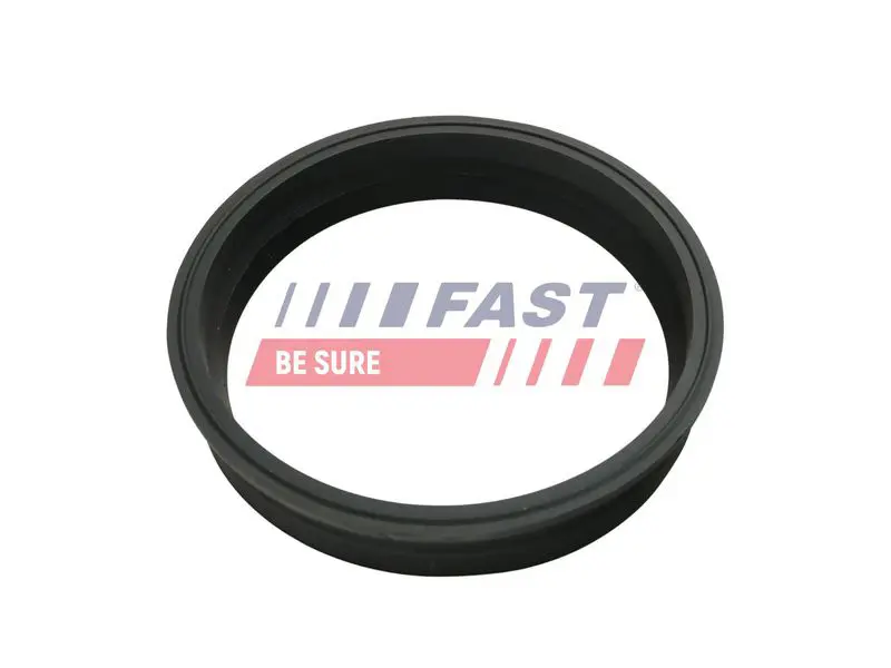 FAST FT48501 Прокладка, датчик уровня