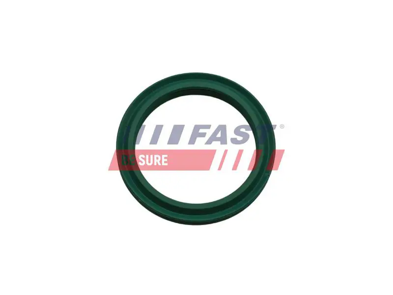 FAST FT48933 Уплотнительное кольцо, трубка