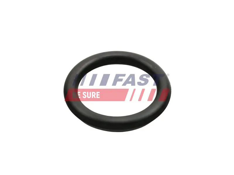 FAST FT49426 Прокладка, впускной коллектор