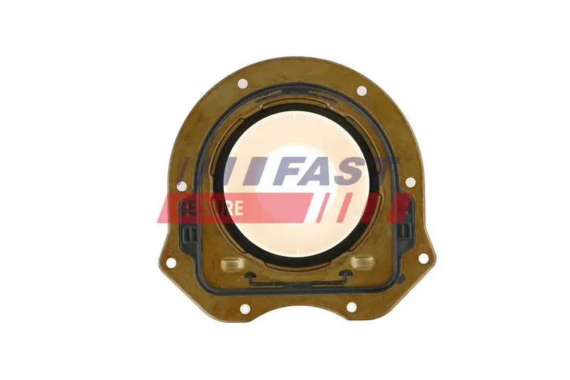 FAST FT49749 Уплотняющее кольцо, коленчатый