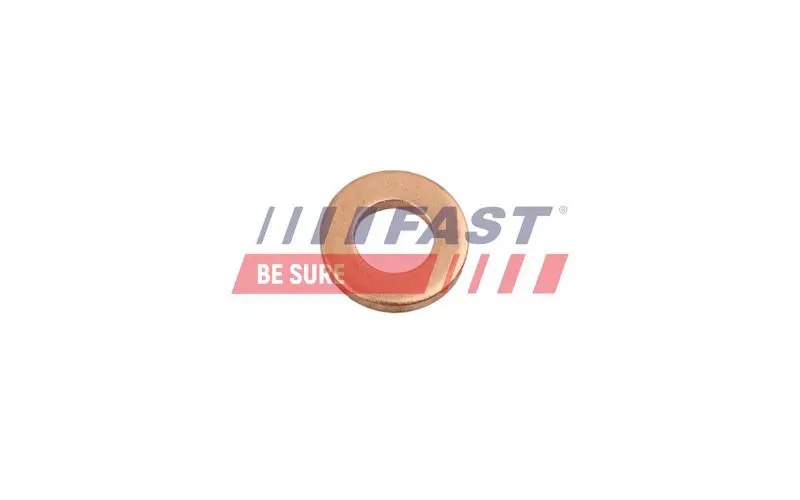 FAST FT49846 Прокладка, корпус форсунки