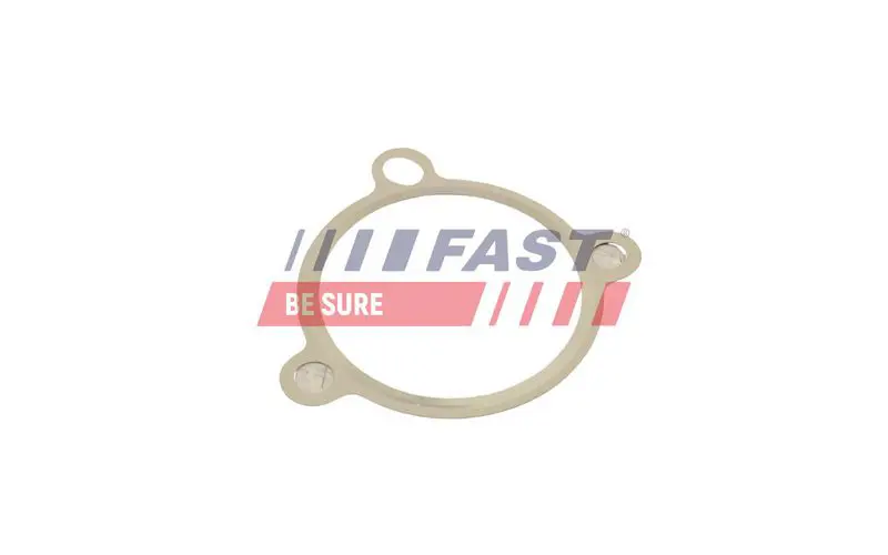 FAST FT50605 Прокладка, клапан возврата ОГ