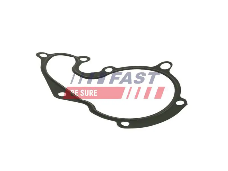FAST FT57401 Прокладка, водяной насос
