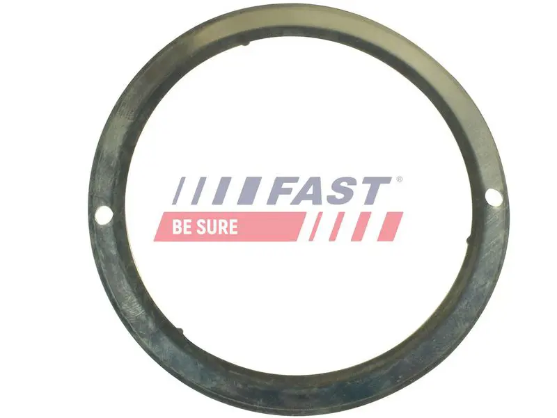 FAST FT84586 Проволочная скоба, система