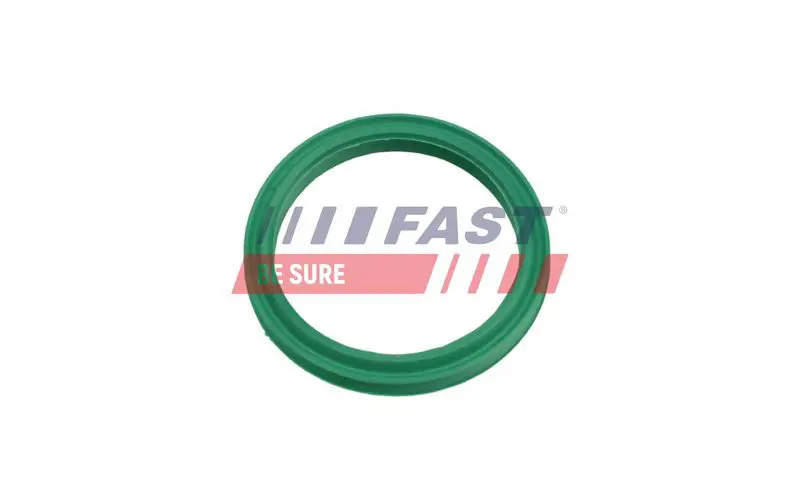 FAST FT48962 Уплотнительное кольцо, трубка