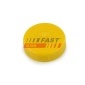 FAST FT94743