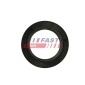 FAST FT12091