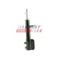 FT11095 АМОРТИЗАТОР FIAT IDEA 03>