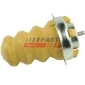 FAST FT18396