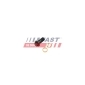 FAST FT38931