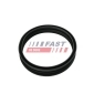 FAST FT48501