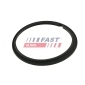 FAST FT48502