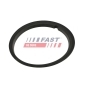 FAST FT48502