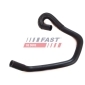 FAST FT61061