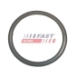 FAST FT84595