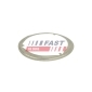 FAST FT84819